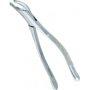 Extracting Forceps Adults